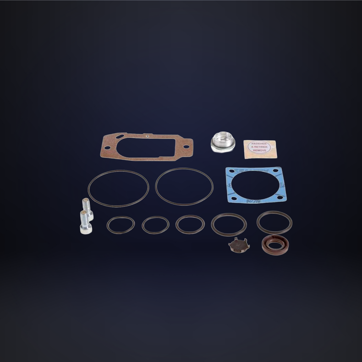 Set of Seals - SV10B / SV16B