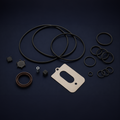 Set of Seals - SV16D / SV25D